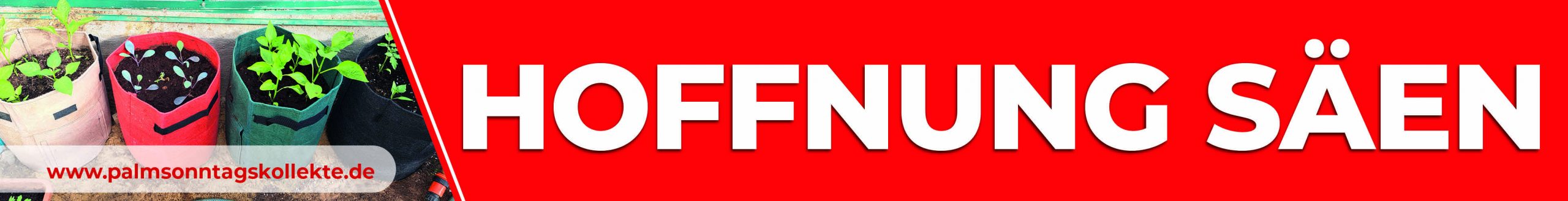 Gestaltungselement_6_468x60-scaled