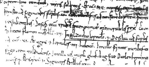 Auszug aus der Schenkungsurkunde Salzig, als 'Salzachu' vom 11.Aug. 922 (Archiv Köln)